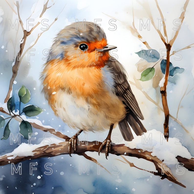 Aquarelle Fluffy Baby Robin 20 téléchargement numérique - Etsy France