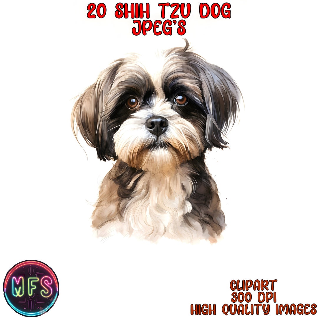 Watercolor Shih Tzu Dog Clipart, 20 High Quality Jpgs, Instant Digital ...