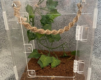 Jumping spider/mantis magnetic braided rope