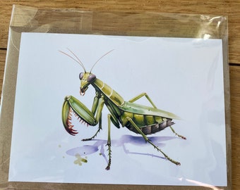 Any occasion mantis cards 6”x4”