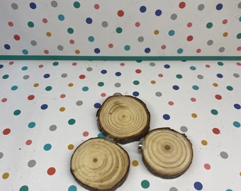 Set of 3 magnetic wooden slice ledges for jumping spiders