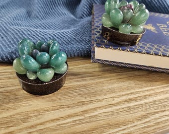 Table Decoration; Mini Cactus Succulent, Everlasting Plant Ornament