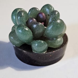 Autumn | Mini Cactus succulent decoration | house plant, plant lover, cute ornament | house warming, new home, gift idea