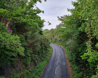 Landscape Photography Print, Woodland theme, 10" x 8" mounted on white board; Winding road