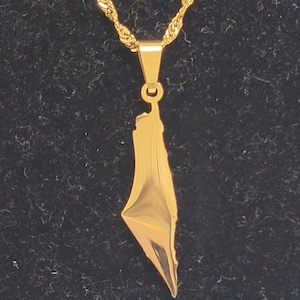 Collier Israël en acier inoxydable et or