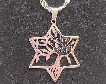 Stainless steel silver star of David and Tree of Life necklace