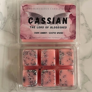 Cassian Candle | ACOTAR Fan Parody Candle | Soy Wax | BookTok Gift | Sarah J Maas A Court of Thorns And Roses Bookish Gift Wax Melt