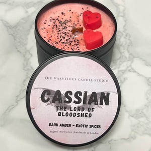 Cassian Candle | ACOTAR Fan Parody Candle | Soy Wax | BookTok Gift | Sarah J Maas A Court of Thorns And Roses Bookish Gift 4oz candle