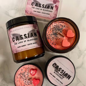 Cassian Candle | ACOTAR Fan Parody Candle | Soy Wax | BookTok Gift | Sarah J Maas A Court of Thorns And Roses Bookish Gift image 10