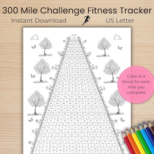 300 Mile Challenge Fitness Tracker | Instant Download | Exercise Tracker |  Printable Workout Tracker | Walking Habit Tracker