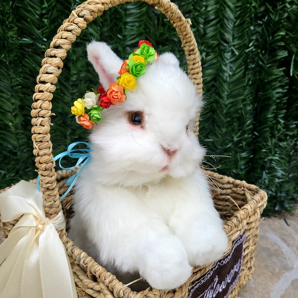 Lapin de Pâques blanc, peluche douce, taille réelle, figurine articulée en chêne