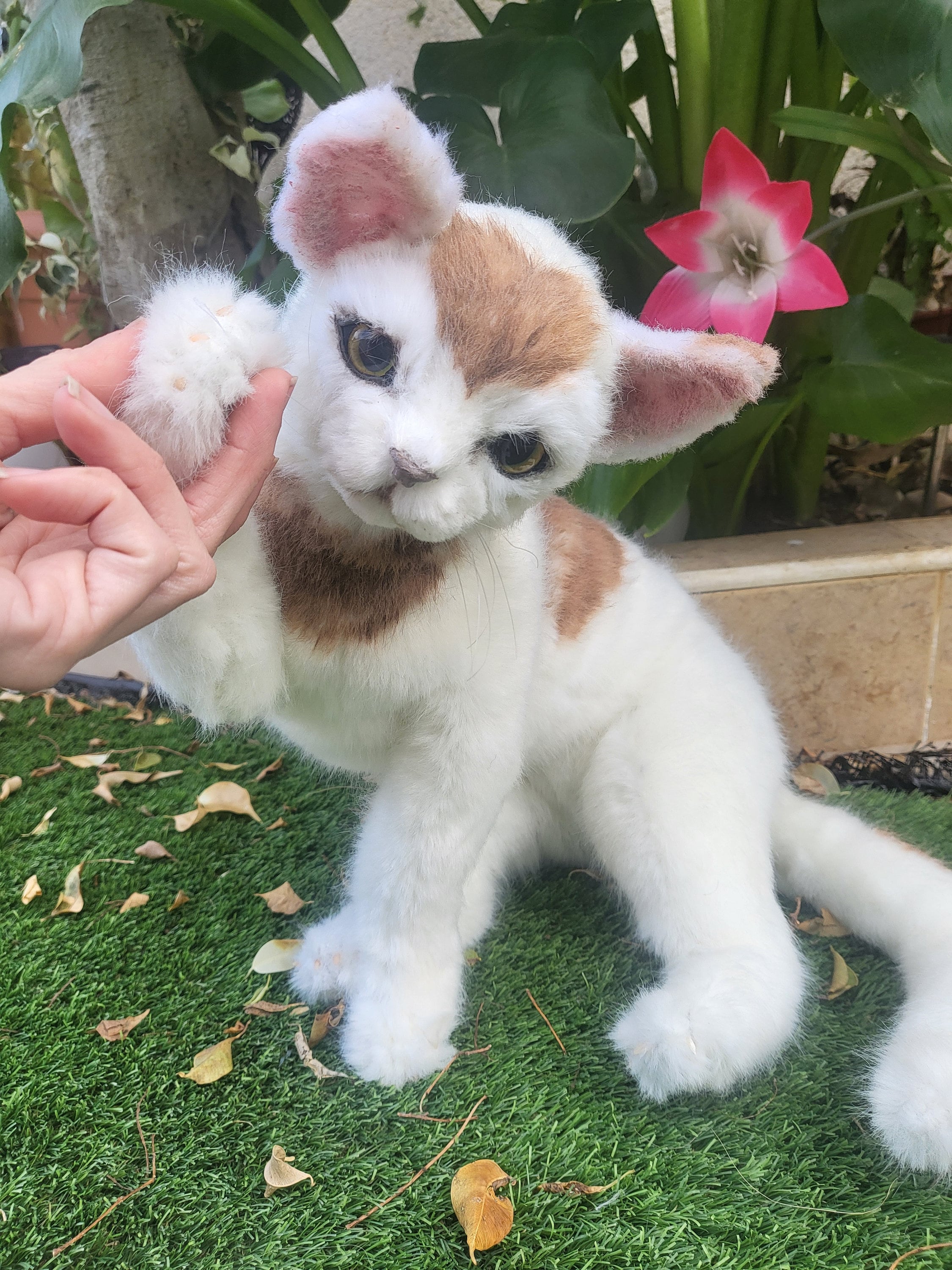 Reborn cat doll - Etsy 日本 Reborn cat doll - Etsy 日本