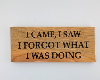 I came I saw I forgot what i was doing, recycled wood pallet sign