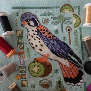 Kestrel Kiwi Cross Stitch PDF Chart