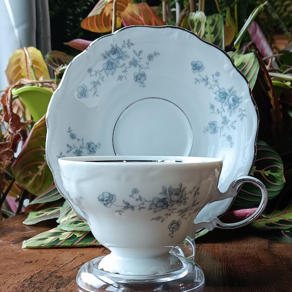 Vintage: Johann Haviland, Blue Garland, Teacup and Saucer Set. Made in Bavaria Germany, C.1970