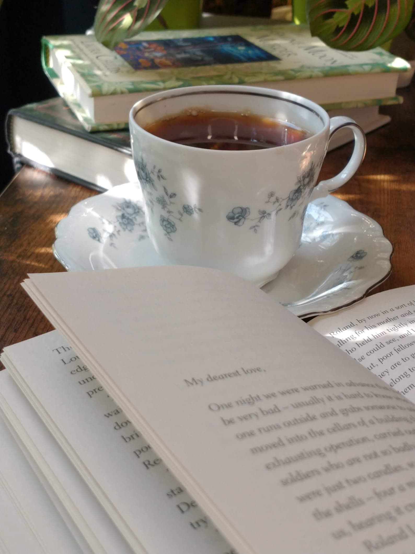 Mystery Vintage Tea Cup and Saucer Tea Packets Box.. Etsy