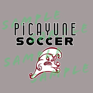 May include: A black and white graphic of a soccer ball with the text "Picayune Soccer" in black letters above it. A red and white cartoon wave with a face is below the text.