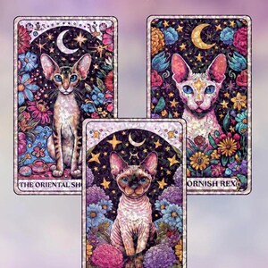 Könnte beinhalten: Drei rechteckige Karten mit der Aufschrift Bundle: Rare & Radiant, die jeweils eine Katzenillustration zeigen. Die Karten zeigen eine Orientalisch Kurzhaar, eine Cornish Rex und eine Devon Rex, umgeben von bunten Blumen, Sternen und einer Mondsichel.