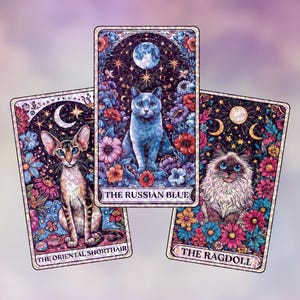 Mystical Midnight Cats – Sticker Pack Holographic Mystical Cat, Floral Zodiac-Inspired Sticker, Celestial Decor for Cat Lovers Journals