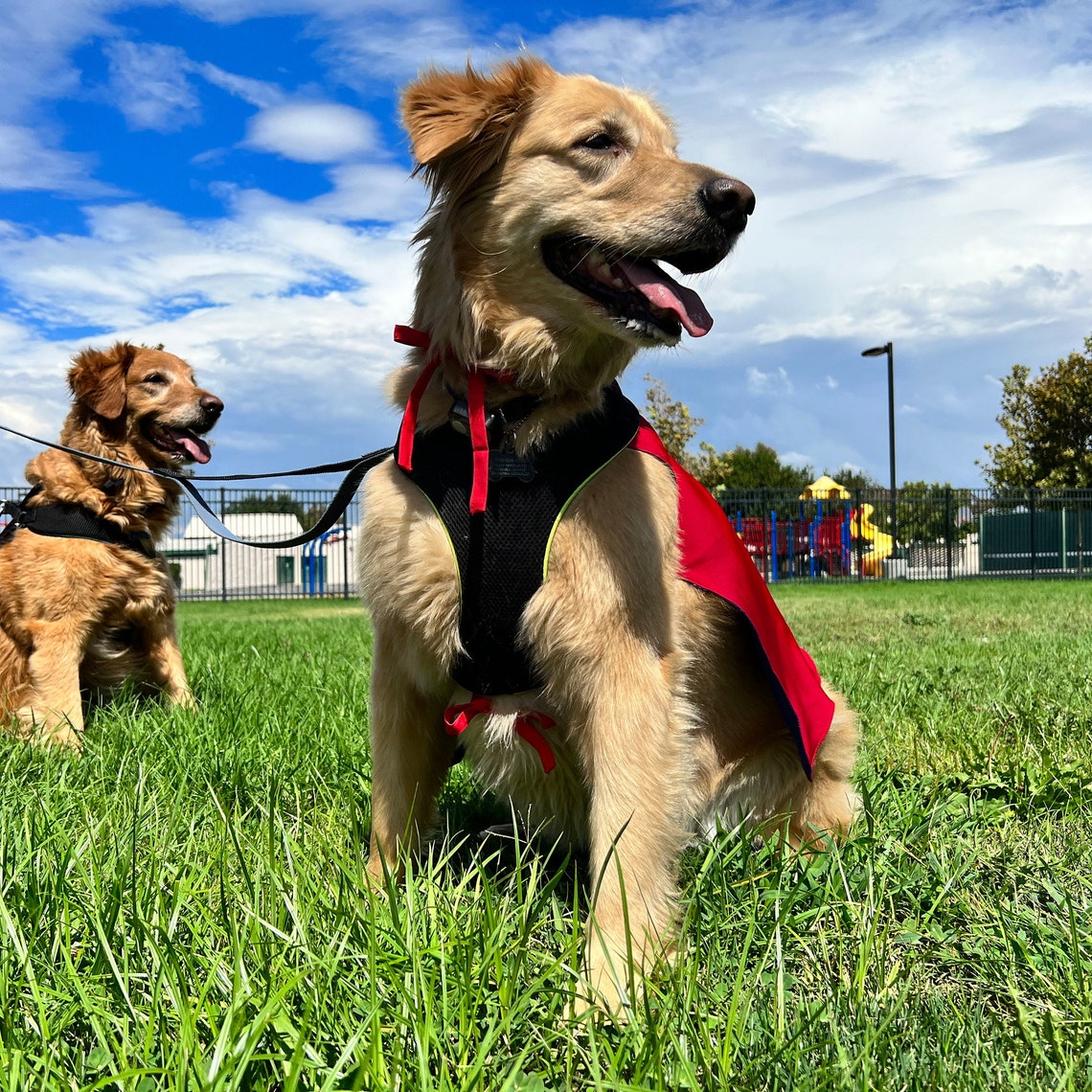 Dog Cape Superhero Cape for Dogs Capes for Dogs Super Etsy