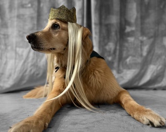 Crown Royal Halloween Costume Etsy