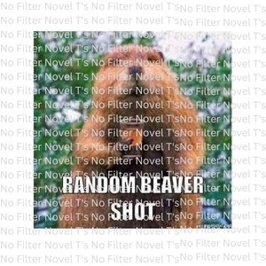 May include: A brown beaver holding a cup with the text "RANDOM BEAVER SHOT" on a white background.
