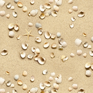 May include: A collection of seashells of various sizes and shapes scattered on a sandy beach. The shells are a mix of white, cream, and beige colors. A single starfish is visible in the center of the image.