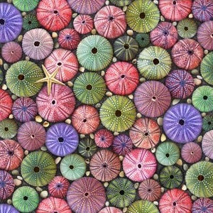 Animal Fabric Sea Urchins From Elizabeth Studios 100% Cotton