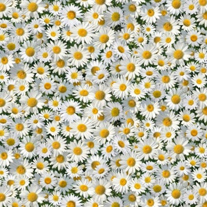 Floral Fabric Daisies in White From Elizabeth Studios 100% Cotton