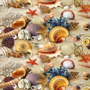 May include: A collection of seashells, starfish, and sea urchins in various shapes and sizes. The shells are in shades of brown, tan, and white, with a few red starfish and purple sea urchins. The arrangement creates a beachy, coastal theme.