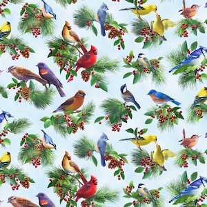 May include: A blue and white patterned fabric with a variety of colorful birds perched on pine branches with red berries. The birds include cardinals, blue jays, chickadees, and finches.