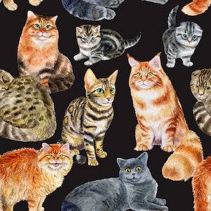 Cat Fabric Kitty Kitty in Black 100% Cotton