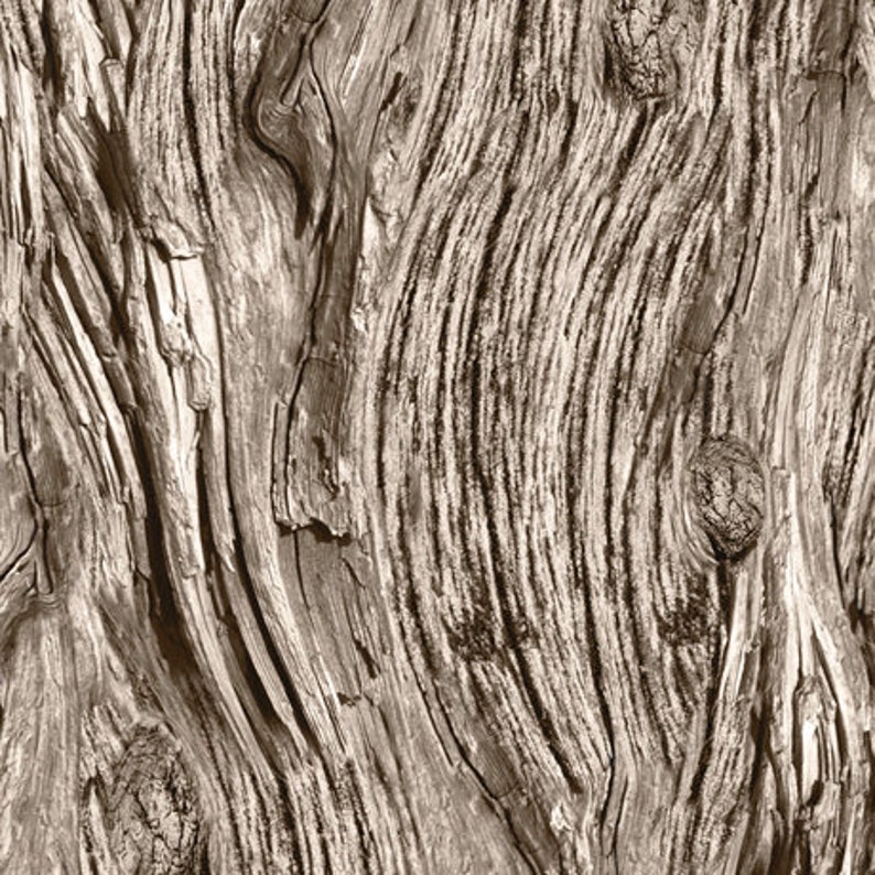 Driftwood Fabric Open Air in Driftwood Gray From Quilting Treasures 100 ...