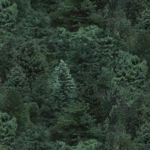 May include: A dense forest scene dominated by various shades of green. The image showcases a multitude of evergreen trees, creating a textured, layered effect. The composition suggests a natural, untouched woodland environment.