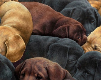 Dog Fabric For the Love of Labs From Quilting Treasures 100% Cotton