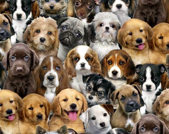 May include: A collage of various dog breeds, including puppies and adult dogs, with diverse colors and markings. The dogs are closely packed together, creating a dense and varied composition. Breeds include Pugs, Golden Retrievers, and more.
