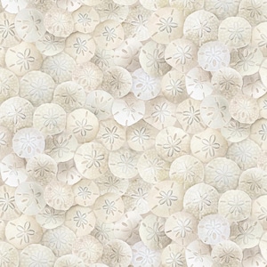 May include: A seamless pattern of numerous sand dollars in varying shades of white and cream. Each sand dollar features a star-like design in the center, creating a textured, natural aesthetic. The arrangement is dense, filling the frame with a coastal theme.