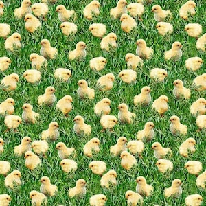 Chicken Fabric Chicks in Green From Timeless Treasures 100% Cotton