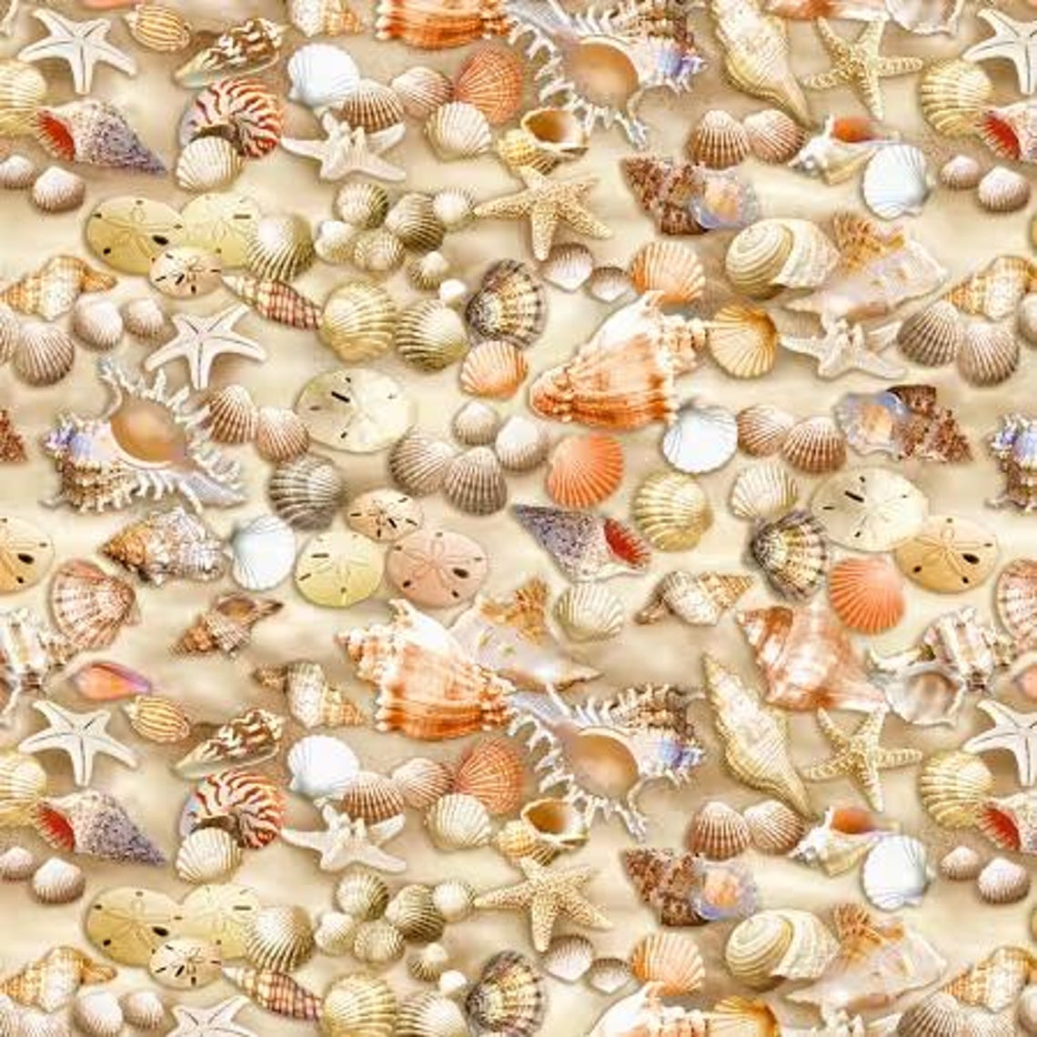 Ocean Shell Textiles Beach Fabric Sea Shells Beachcomber in Multi From Timeless Treasures ...