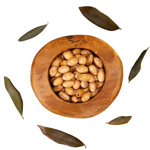 NazarethFairTrade Olive Wood Beads Handcrafted In The Holy Land - Top Quality Natural Oval Wooden Beads for Crafting and Jewelry Making