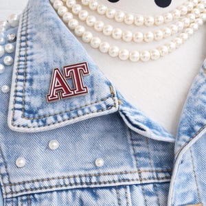 Alpha Tau| Delta Sigma Theta