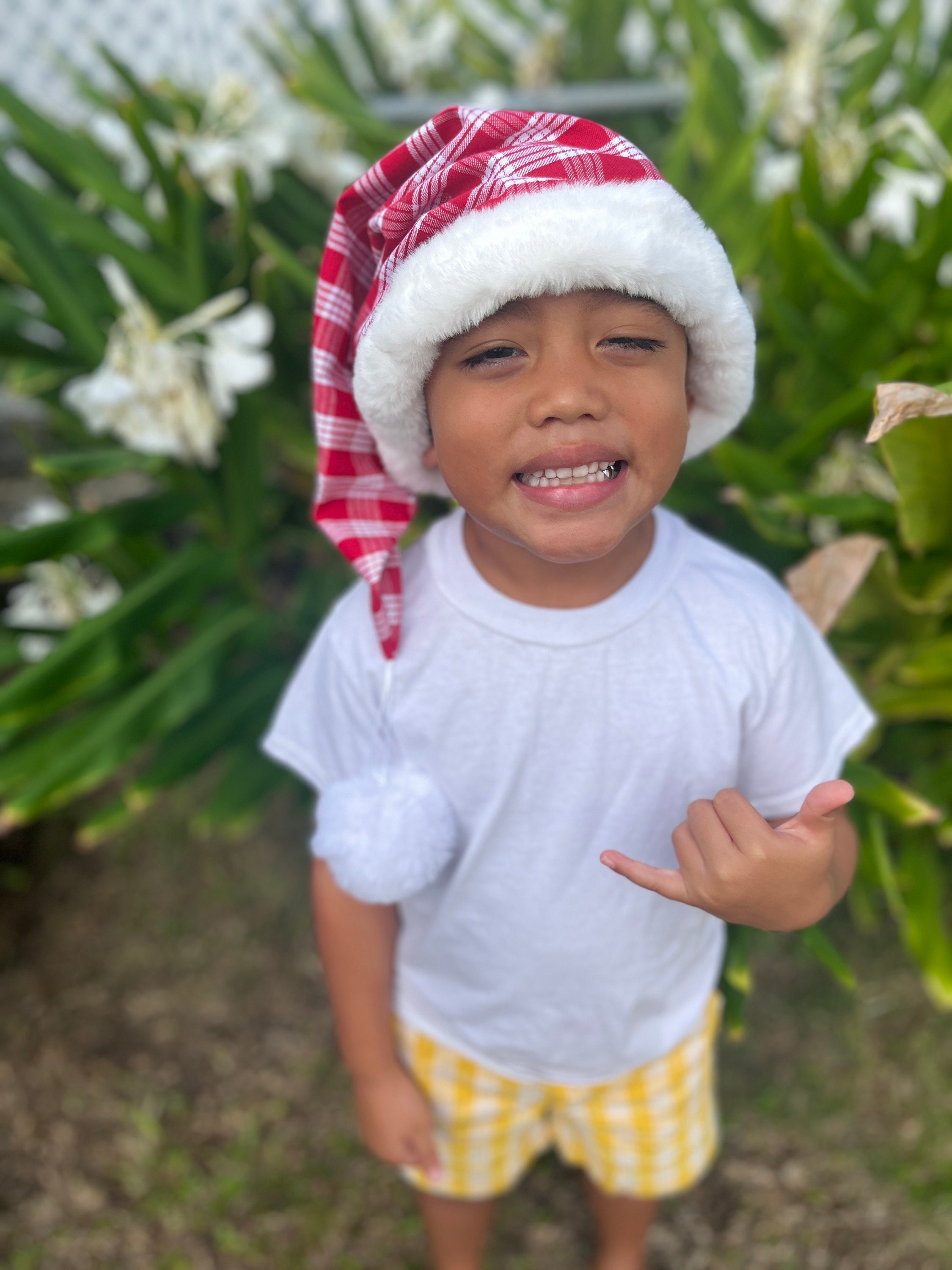 10+ Santa Hat Colors