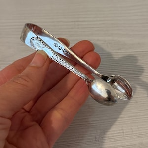 Può includere: Un paio di pinze per zucchero in argento con un intricato motivo in filigrana sui bracci e cucchiai di forma ovale alle estremità. La superficie metallica presenta una serie di piccoli marchi stampati vicino alla cerniera.