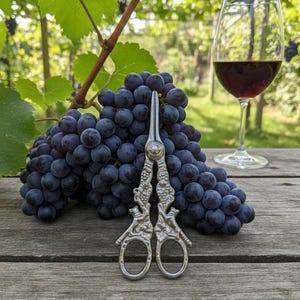 Könnte beinhalten: Ein Stillleben mit einer Traube dunkler lila Trauben, einem Glas Rotwein und einer verzierten silbernen Rebschere. Die Szene spielt auf einer verwitterten Holzoberfläche, mit einem Weinberg im Hintergrund.