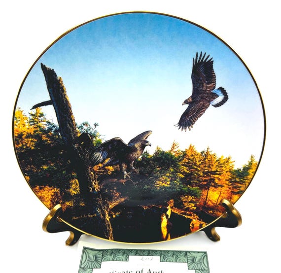 Vintage Bradford Exchange Collectible Plate - 'The Power of Gold' by Robert R. Copple