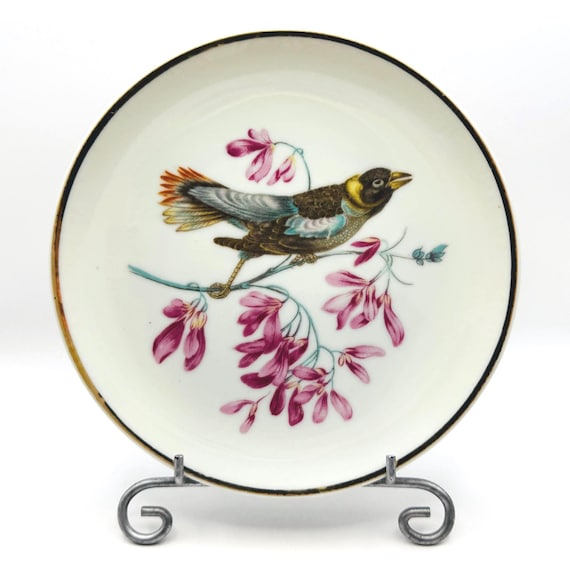 Pretty Pink Floral Lipper & Mann Plate with Bird Design