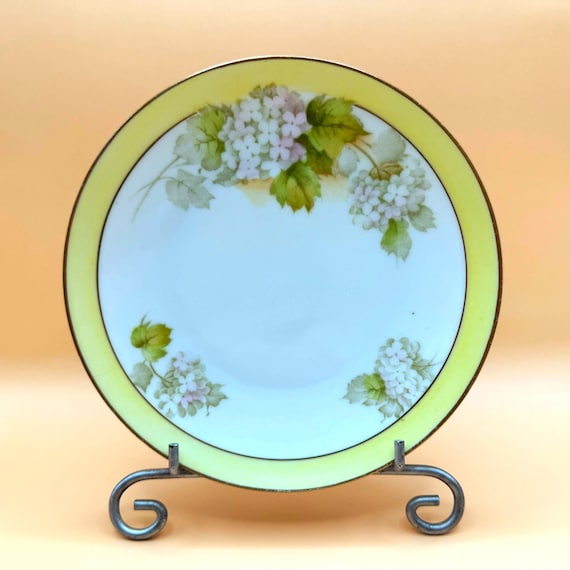 Set of 2 Vintage Bavarian Porcelain Plates by Tirschenreuth – 6” Floral Decorative Plates