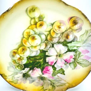 Antique JR Bavaria Hand-Painted Plate: Floral & Grape Design, Signed Dupont