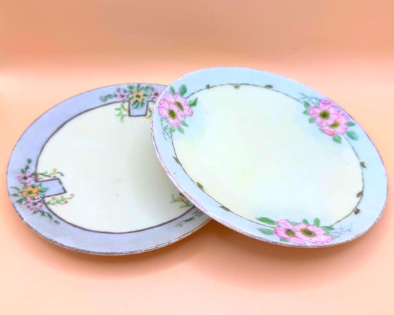 Antique Thomas Bavaria Hand Painted Floral Plate | Choice