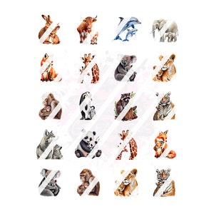 Puede incluir: Un conjunto de 16 ilustraciones de acuarela que representan diferentes parejas de animales, cada una con un padre y un hijo. Los animales incluyen un conejo, una vaca, un delfín, un elefante, un zorro, una jirafa, un koala, un león, un panda, un mapache, un tigre, un lobo y un mono. Las ilustraciones son perfectas para usar en scrapbooking, creación de tarjetas u otros proyectos creativos.